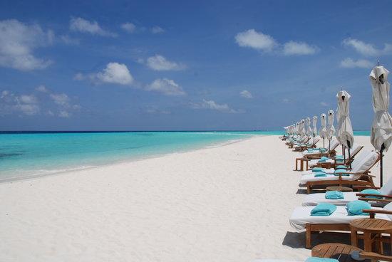 Sandee Landaa Giraavaru Island