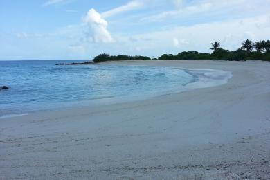 Sandee Feydhoo