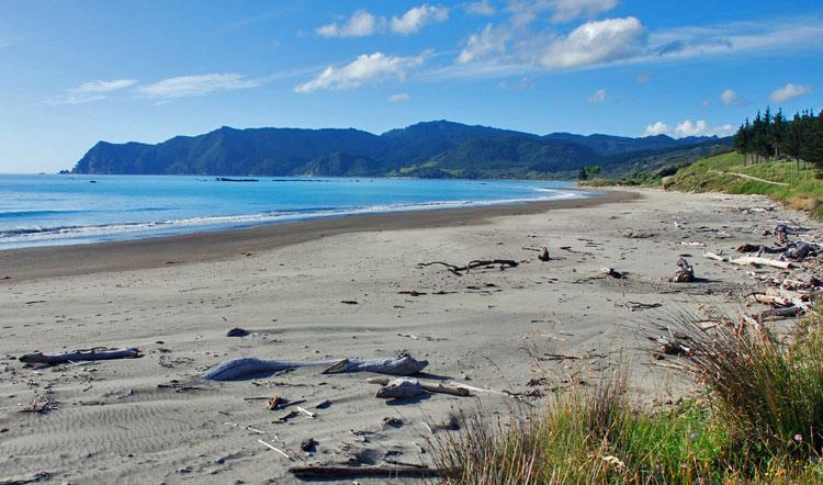 Sandee - Waipiro Beach