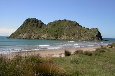 Sandee Whangara Beach Photo