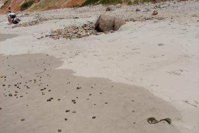 Sandee - Aquinnah Public Beach