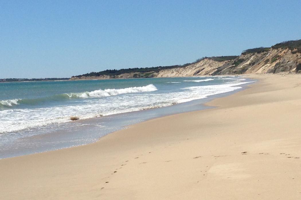 Sandee Lucy Vincent Beach Photo