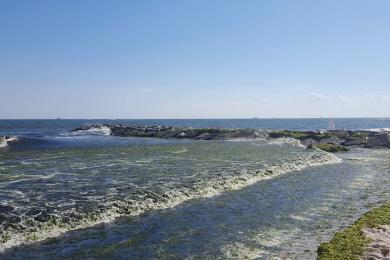 Sandee Point Lookout Town Park Photo