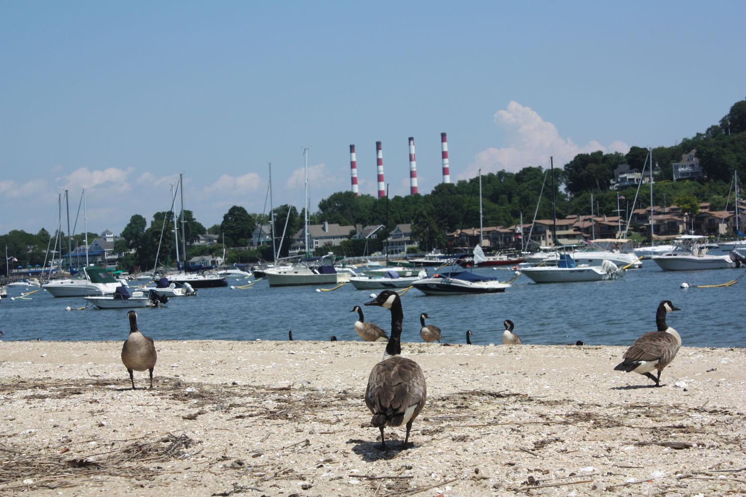 Sandee - Centerport Beach