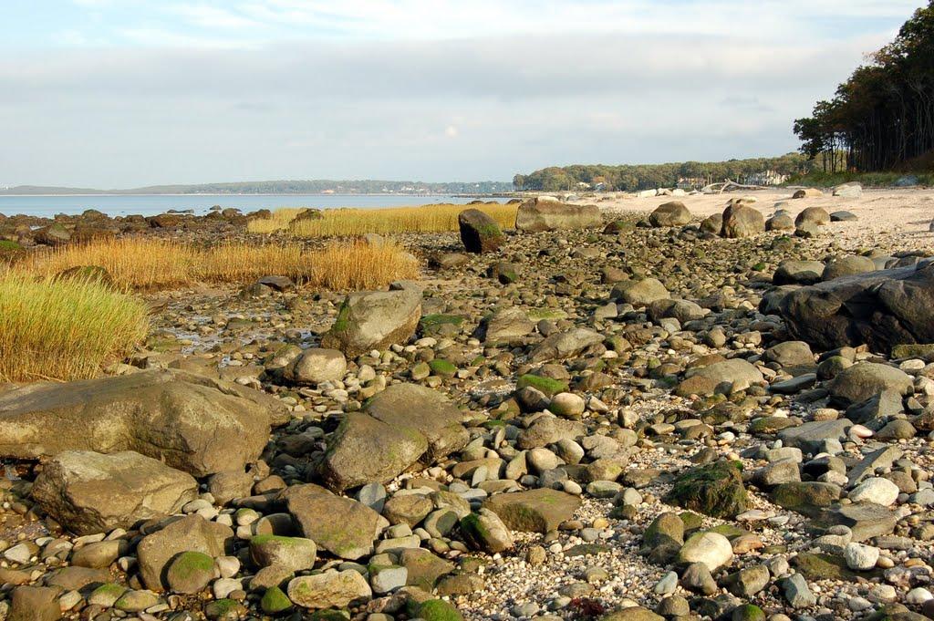 Sandee - HomePage / Lloyd Harbor