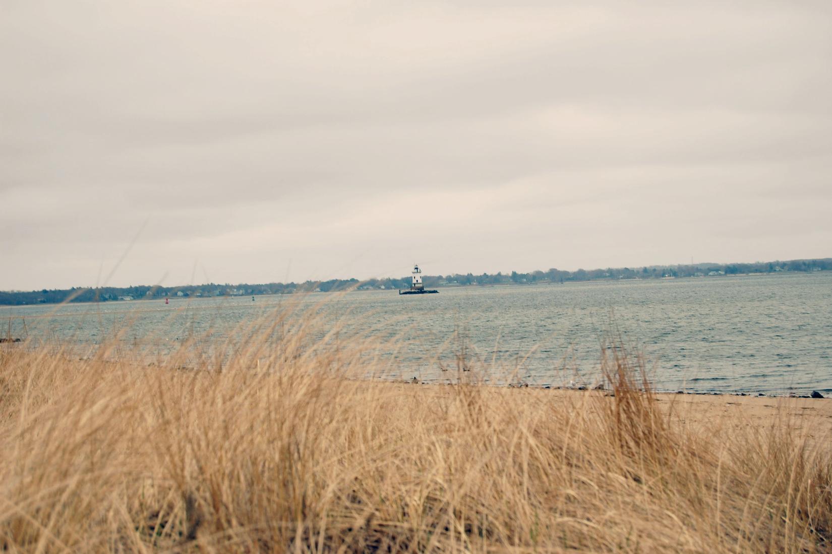 Sandee - Conimicut Point Beach