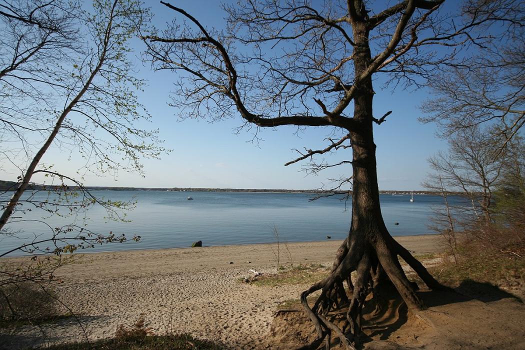 Sandee Goddard Memorial State Park