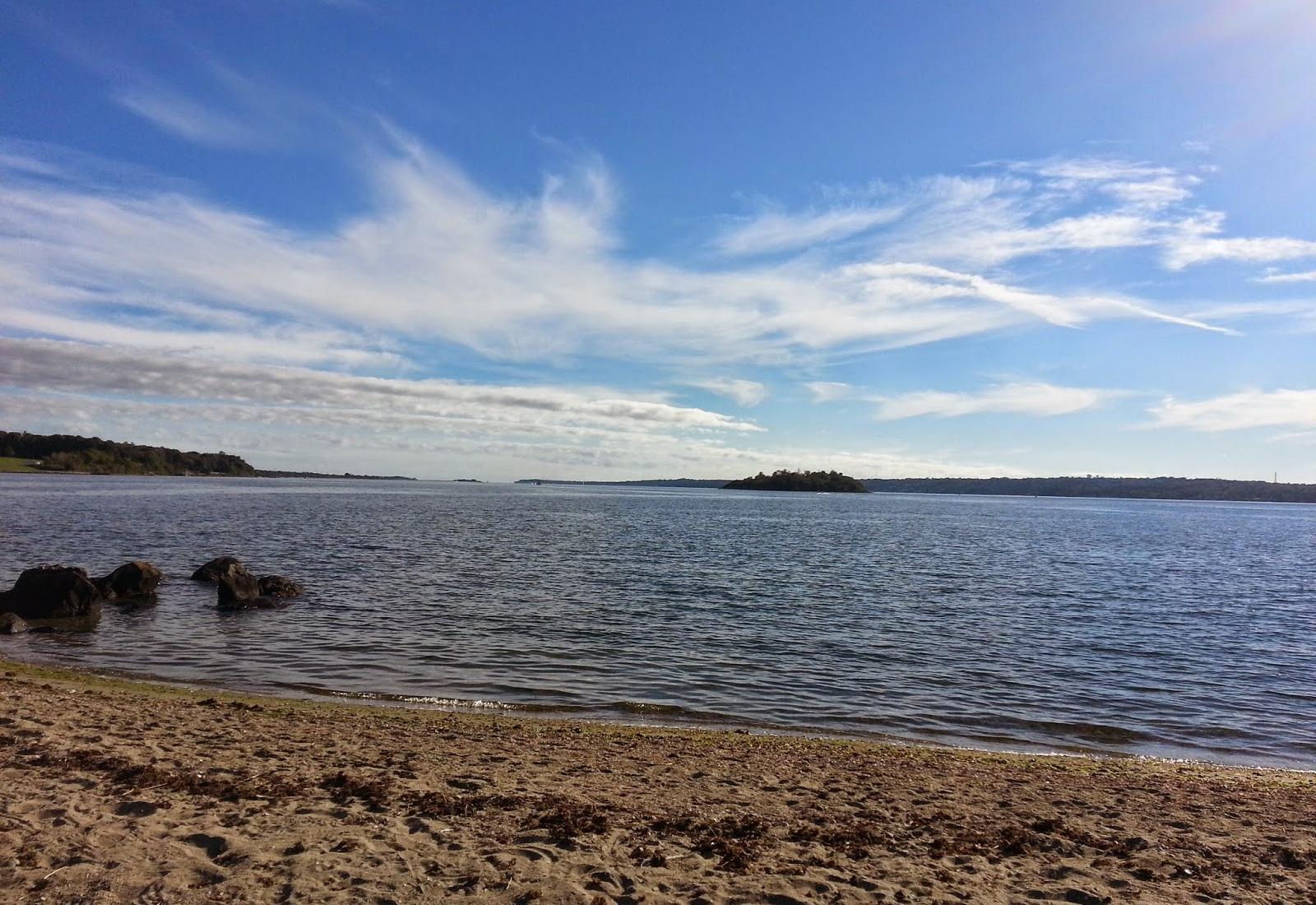 Sandee - Grinnell's Beach