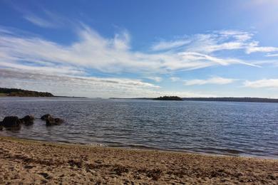 Sandee - Grinnell's Beach