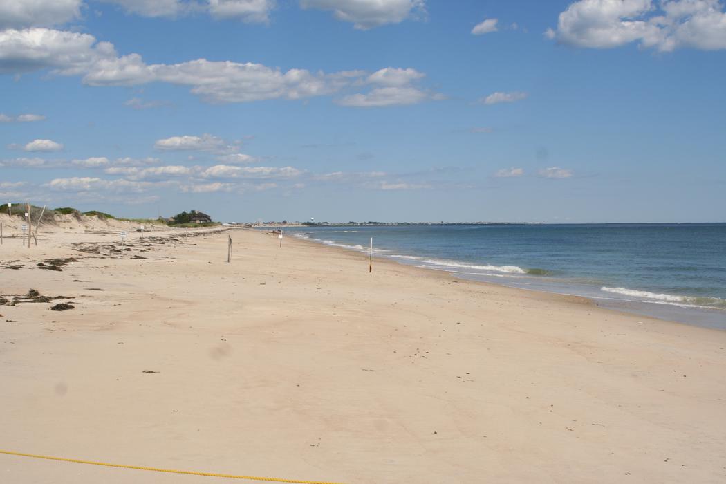 Sandee Moonstone Beach