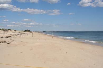 Sandee Moonstone Beach