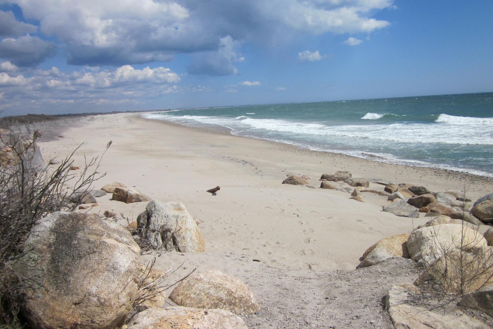Sandee - HomePage / Narragansett