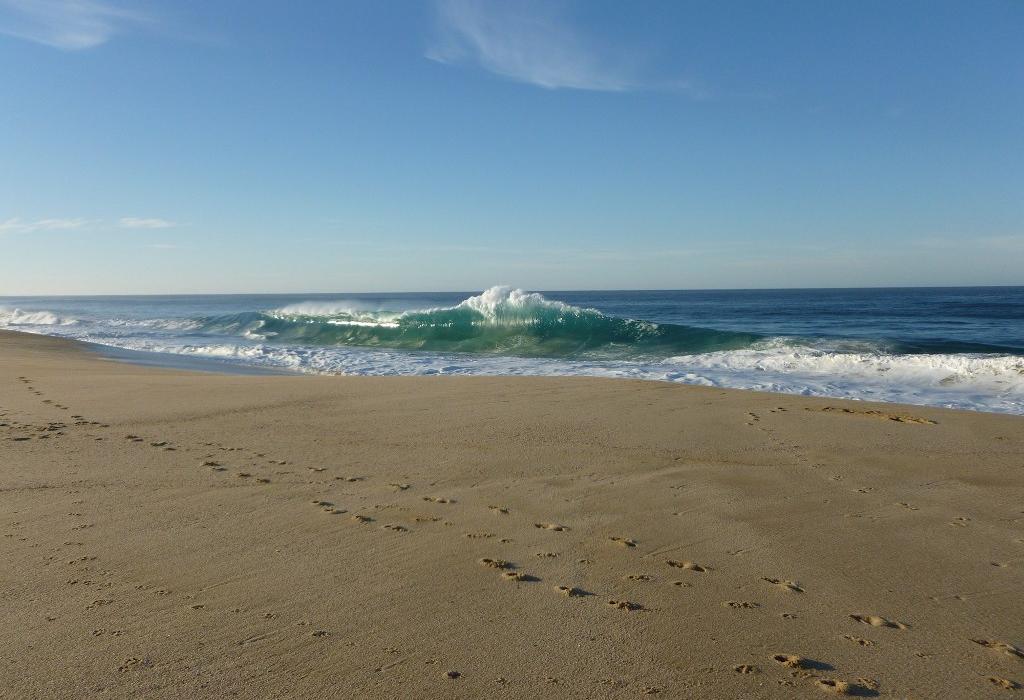 Sandee Playa La Cachora Photo