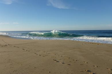 Sandee Playa La Cachora Photo