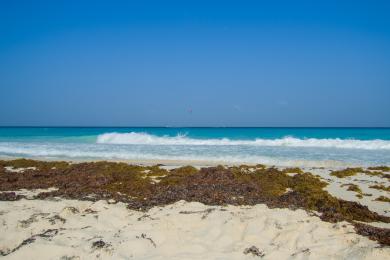 Sandee - Playa Chac Mool