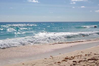 Sandee Playa Ballenas