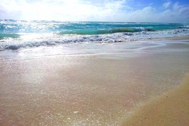 Sandee Playa Marlin