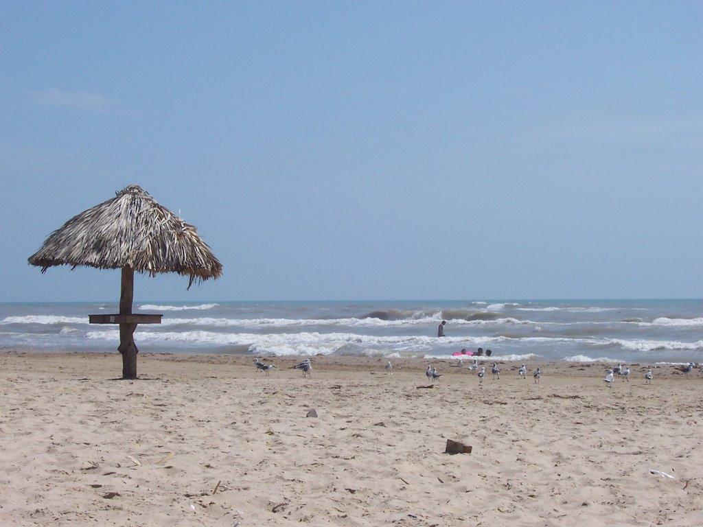 Playa Bagdad Photo - Sandee