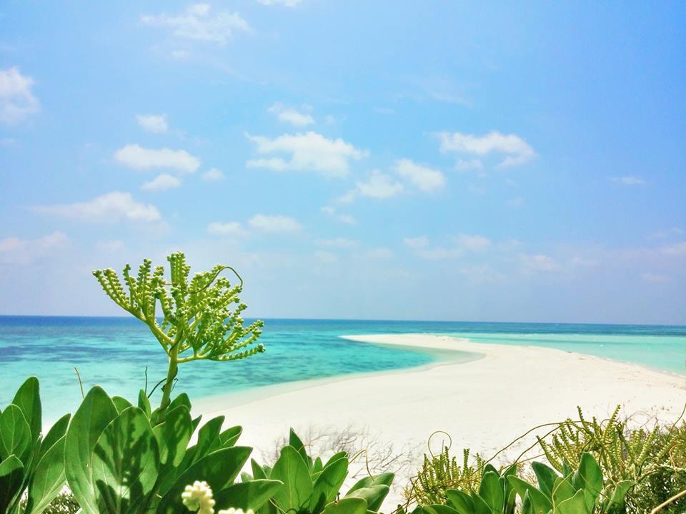 Sandee - HomePage / Ukulhas