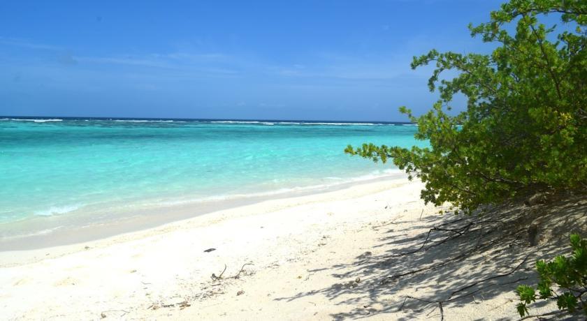 Sandee - Vaikaradhoo