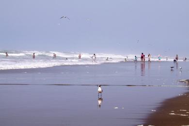 Sandee La Punta