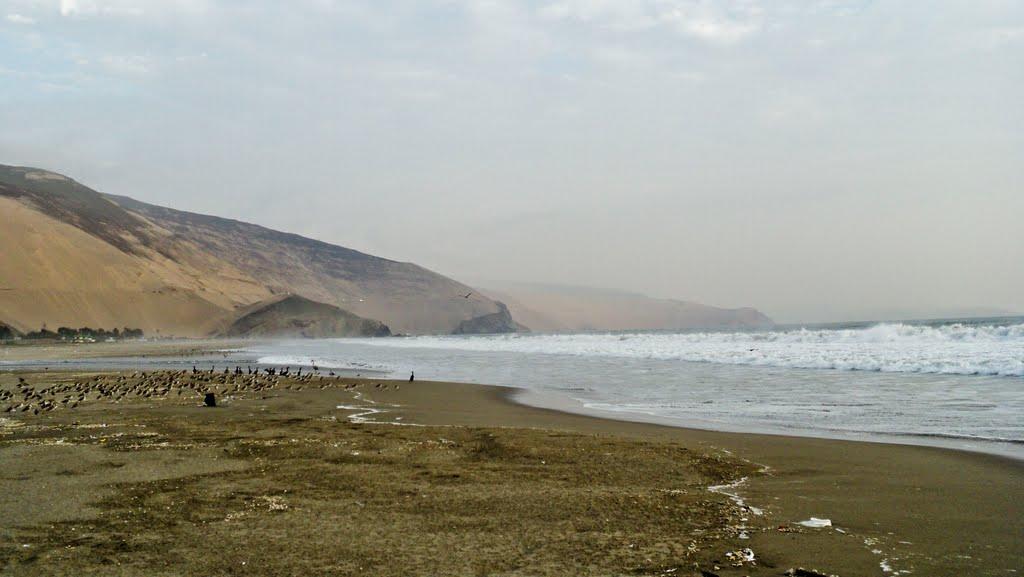 Sandee - Playa Barranquito