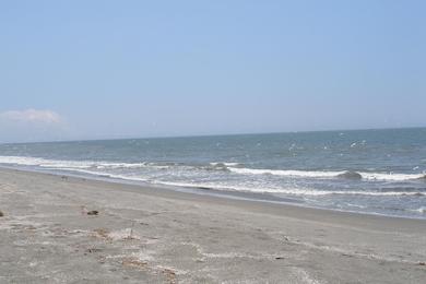 Sandee Playa La Estrella