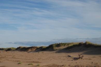 Sandee Lize Sand Dune Beach Photo