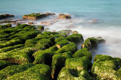Sandee Lao Mei Green Rock Troughs