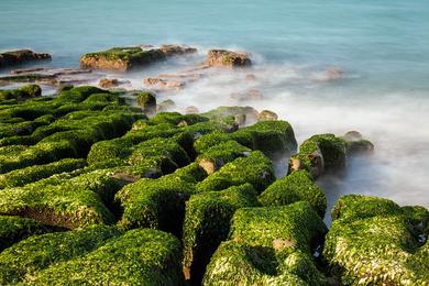 Sandee Lao Mei Green Rock Troughs Photo