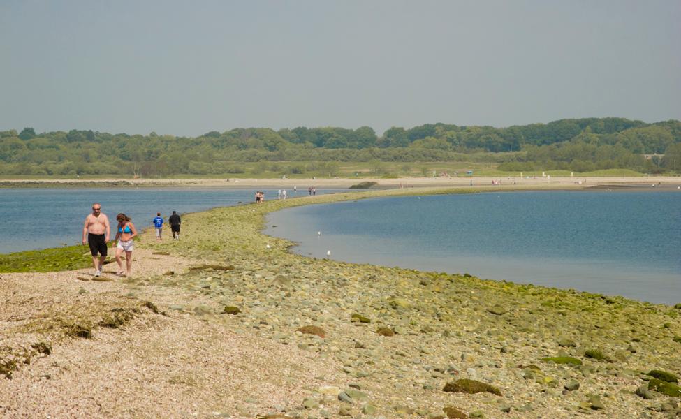 Sandee - Silver Sands State Park Beach