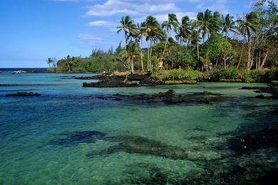 Sandee Hilo Bayfront Park