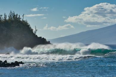 Sandee - Honokohau Bay Beach