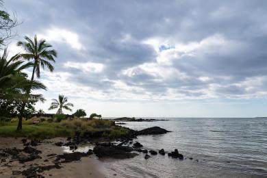 Sandee - Honokohau Bay Beach