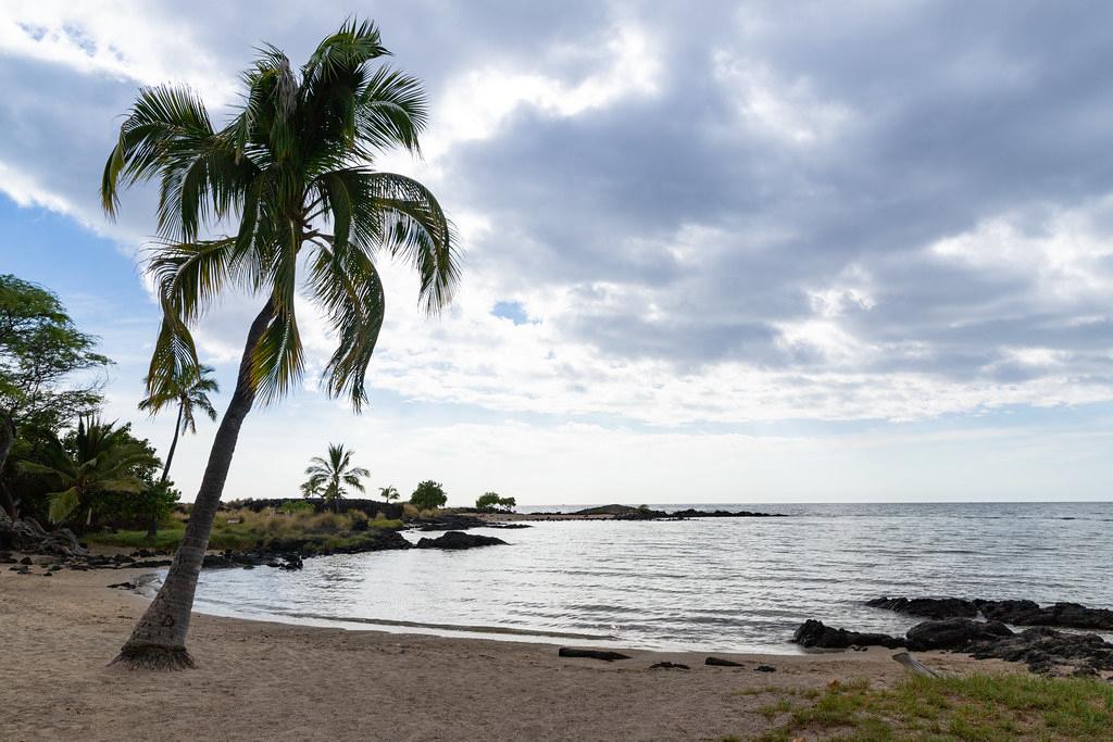 Sandee - Honokohau Bay Beach