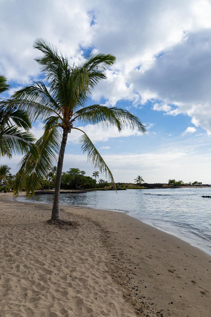 Sandee - Honokohau Bay Beach