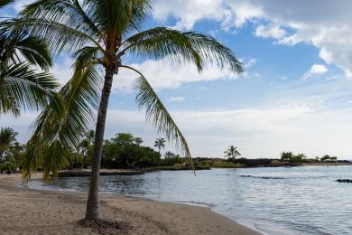 Sandee - Honokohau Bay Beach