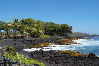 Sandee - Isaac Hale Beach Park