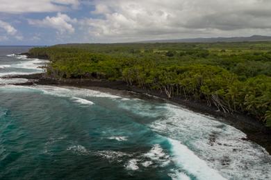 Sandee - Isaac Hale Beach Park