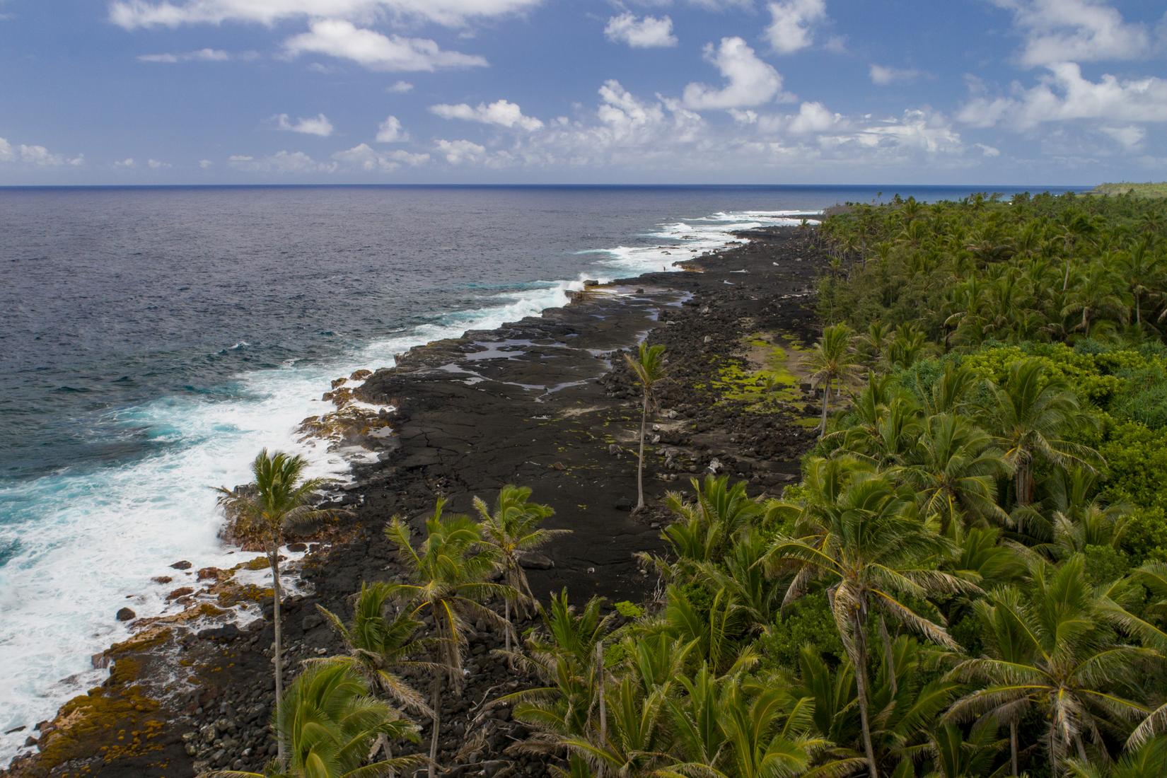 Sandee - HomePage / Malama Ki Forest Reserve