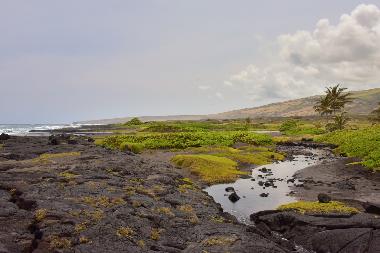 Sandee - Kawa Bay