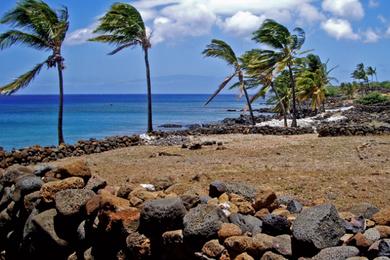 Sandee Lapakahi State Historical Park Photo