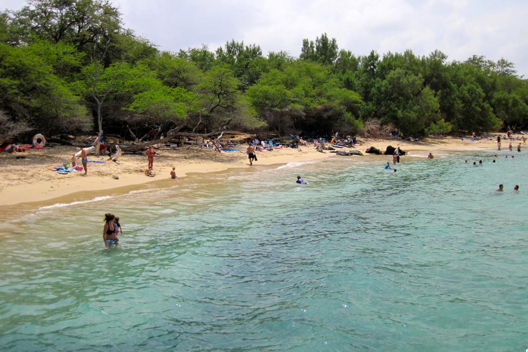 Sandee Waialea Beach