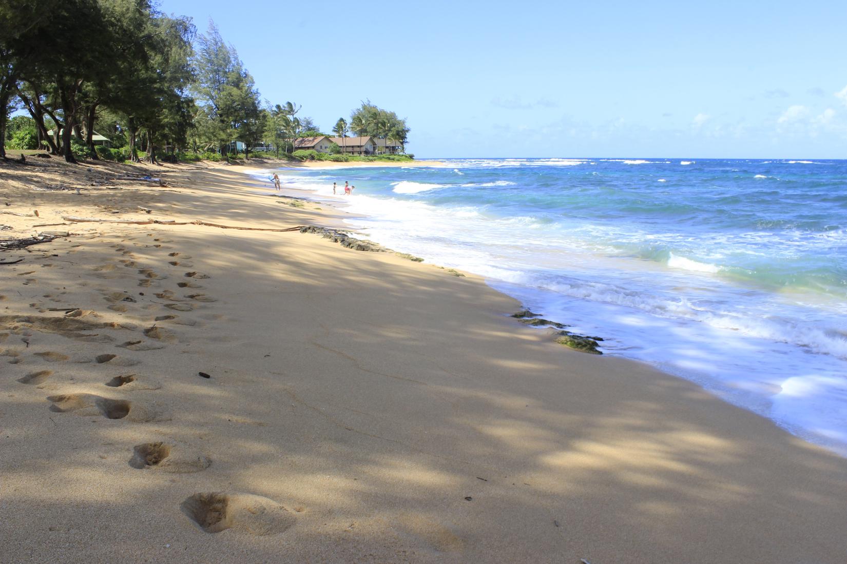 Sandee - Hanalei Beach