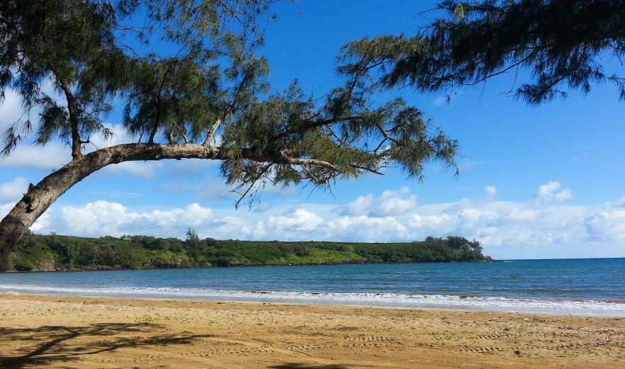 Sandee - Hanamaulu Beach Park