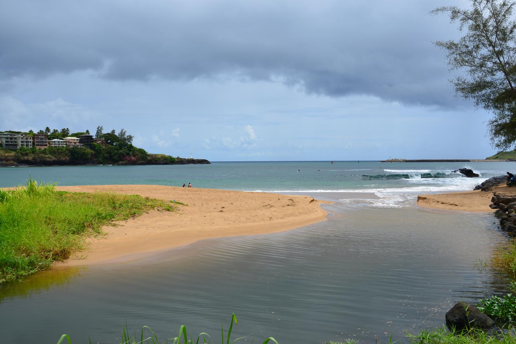 Sandee - Kalapaki Beach