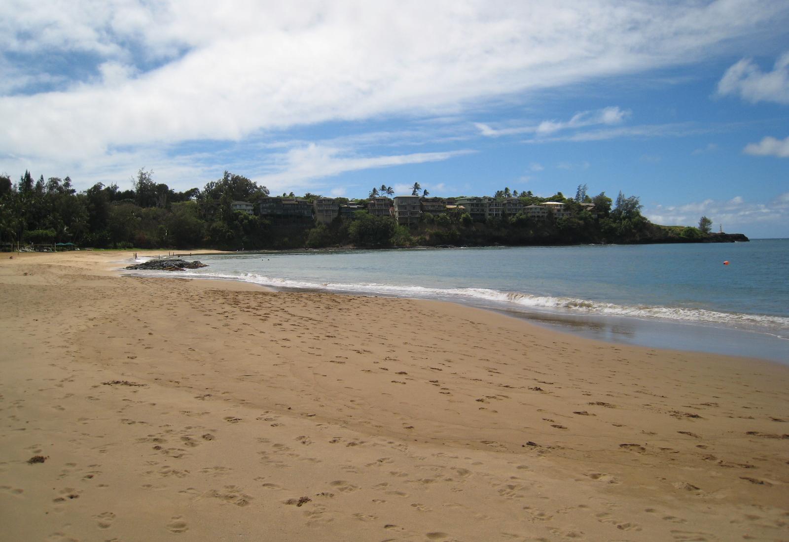 Sandee - Kalapaki Beach
