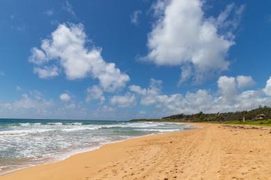 Sandee Kealia Beach Photo