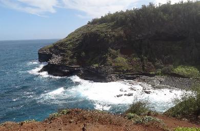 Sandee - Kilauea Point