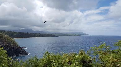 Sandee - Kilauea Point